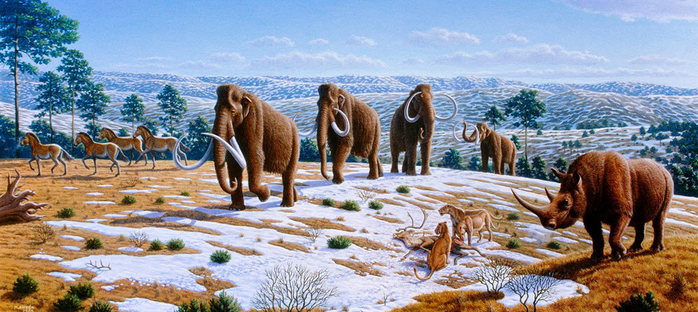 Pleistocene